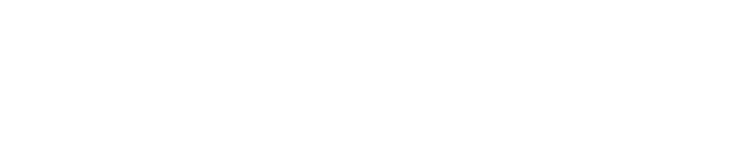 logo icon